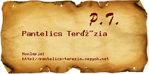 Pantelics Terézia névjegykártya