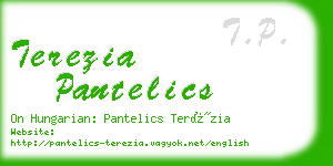 terezia pantelics business card